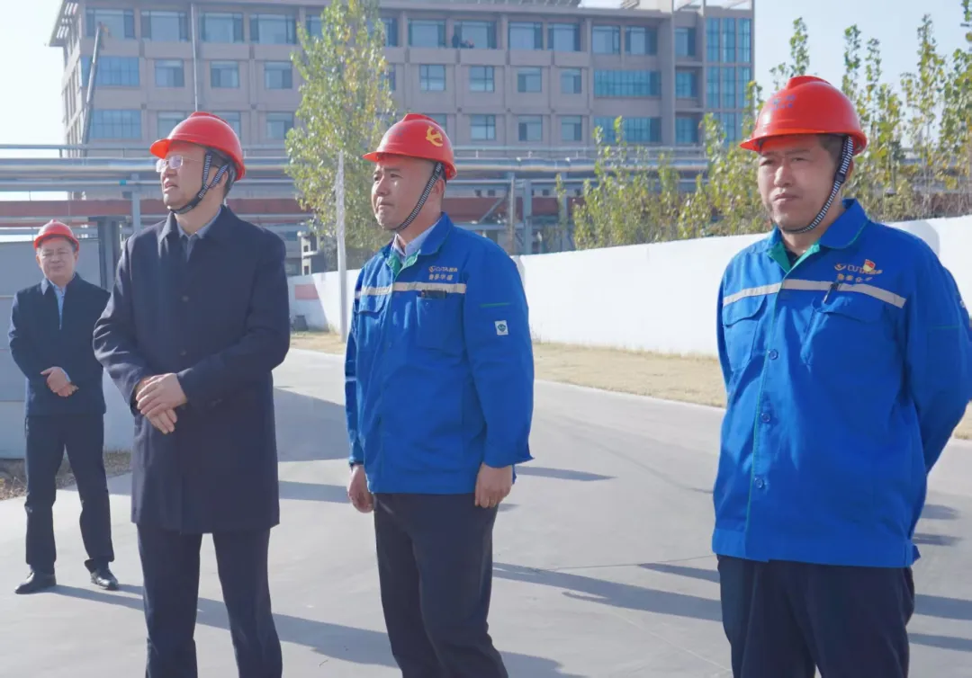 1764568459766611.jpg 1764568459766611.jpg